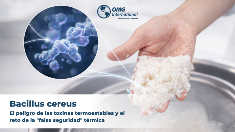 Bacillus cereus: El peligro de las toxinas termoestables y el reto de la «falsa seguridad» térmica