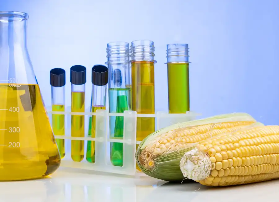 GMO