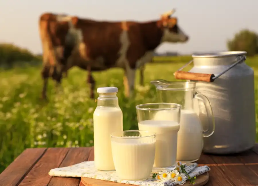 Pruebas especializadas para leche