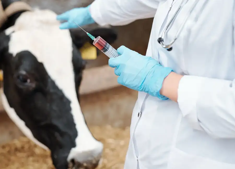 Residuos veterinarios