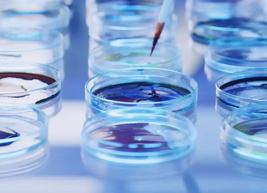 close-up-of-petri-dishes-and-pipette-in-a-scientif-2026-05-28-21-23-44-utc